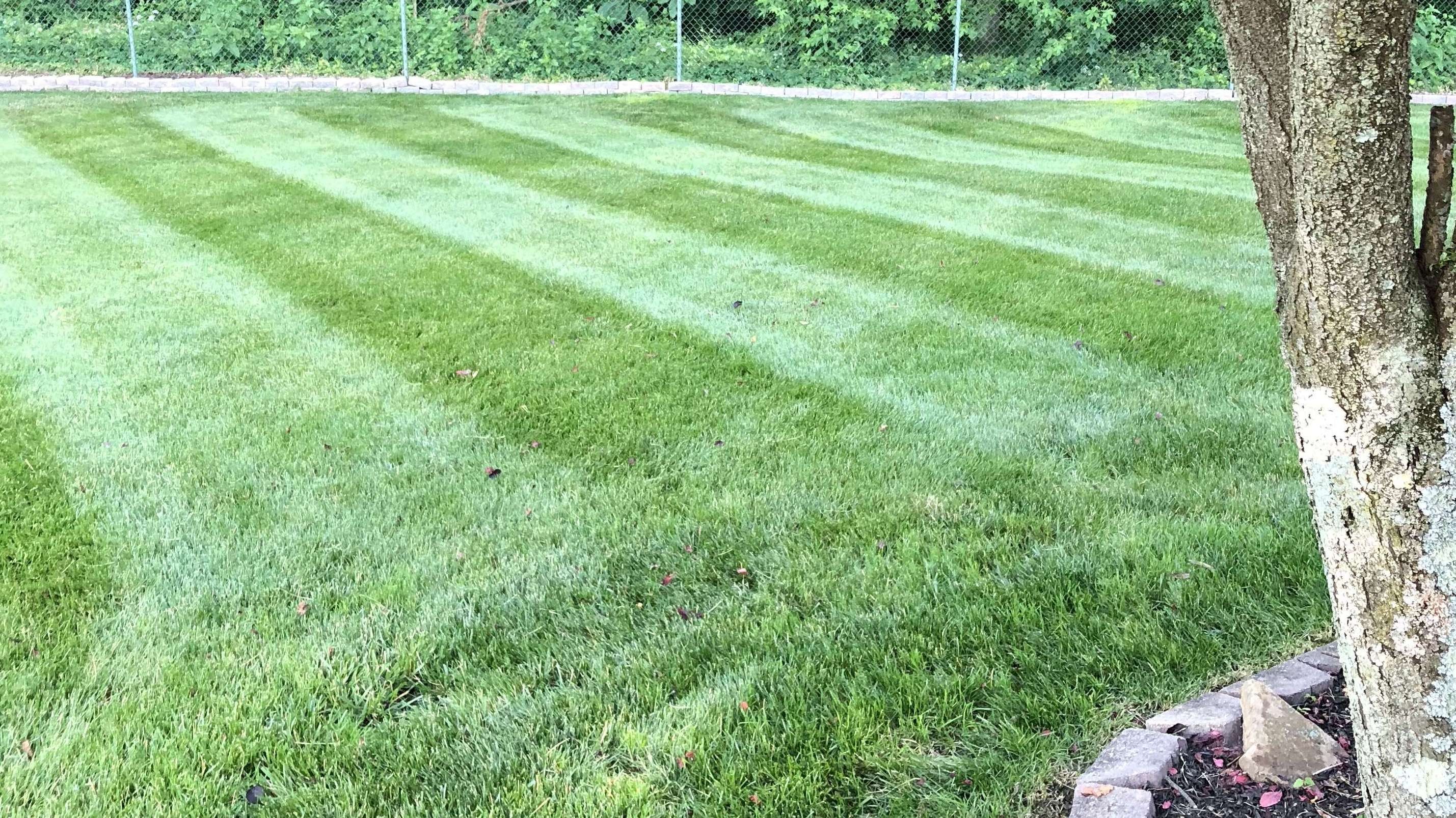 Artículos de Arquitectura exterior, paisajismo y jardines en Perú